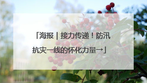 海报｜接力传递！防汛抗灾一线的怀化力量→