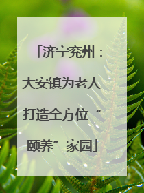 济宁兖州：大安镇为老人打造全方位“颐养”家园