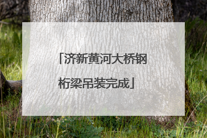 济新黄河大桥钢桁梁吊装完成
