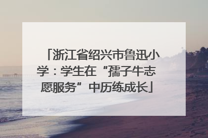 浙江省绍兴市鲁迅小学：学生在“孺子牛志愿服务”中历练成长