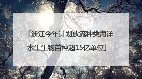 浙江今年计划放流种类海洋水生生物苗种超15亿单位