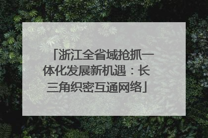 浙江全省域抢抓一体化发展新机遇：长三角织密互通网络