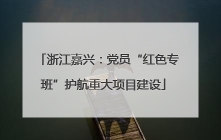 浙江嘉兴：党员“红色专班”护航重大项目建设