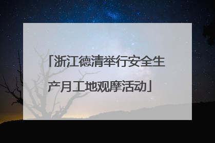 浙江德清举行安全生产月工地观摩活动