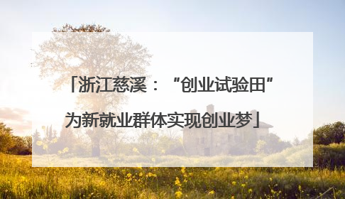 浙江慈溪：“创业试验田”为新就业群体实现创业梦