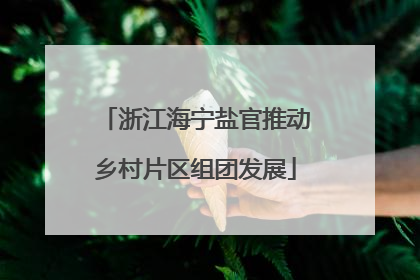 浙江海宁盐官推动乡村片区组团发展