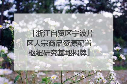 浙江自贸区宁波片区大宗商品资源配置枢纽研究基地揭牌