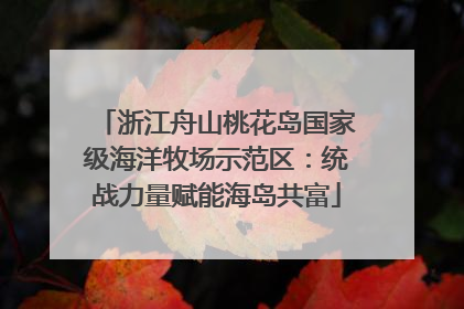 浙江舟山桃花岛国家级海洋牧场示范区：统战力量赋能海岛共富