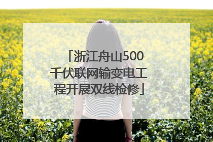 浙江舟山500千伏联网输变电工程开展双线检修