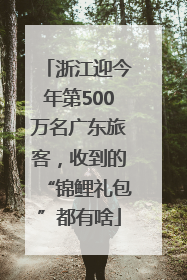浙江迎今年第500万名广东旅客，收到的“锦鲤礼包”都有啥