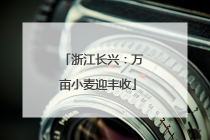 浙江长兴：万亩小麦迎丰收