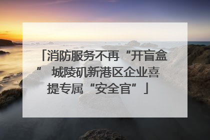 消防服务不再“开盲盒” 城陵矶新港区企业喜提专属“安全官”