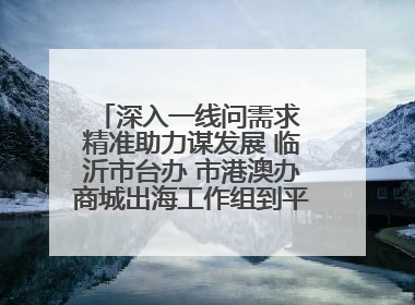 深入一线问需求 精准助力谋发展 临沂市台办 市港澳办商城出海工作组到平邑县走访调研