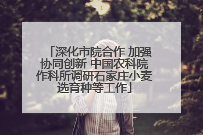 深化市院合作 加强协同创新 中国农科院作科所调研石家庄小麦选育种等工作