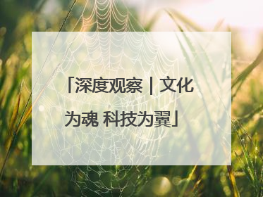 深度观察｜文化为魂 科技为翼