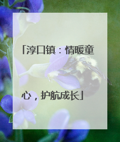 淳口镇：情暖童心，护航成长