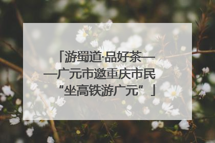 游蜀道·品好茶——广元市邀重庆市民“坐高铁游广元”