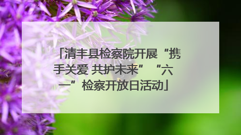 清丰县检察院开展“携手关爱 共护未来”“六一”检察开放日活动