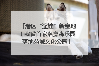 港区“遛娃”新宝地！我省首家洛嘉森乐园落地苑城文化公园