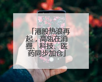 港股热浪再起，高瓴在消费、科技、医药同步加仓