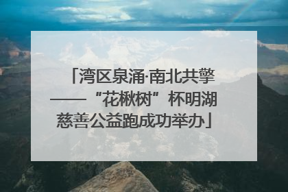 湾区泉涌·南北共擎——“花楸树”杯明湖慈善公益跑成功举办