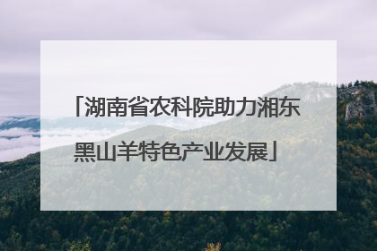 湖南省农科院助力湘东黑山羊特色产业发展