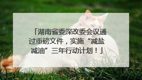 湖南省委深改委会议通过重磅文件，实施“减盐减油”三年行动计划！