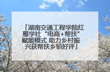 湖南交通工程学院红雁学社“电商+帮扶”赋能模式 助力乡村振兴获帮扶乡镇好评