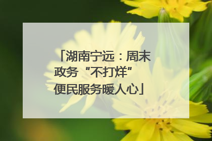湖南宁远：周末政务“不打烊” 便民服务暖人心
