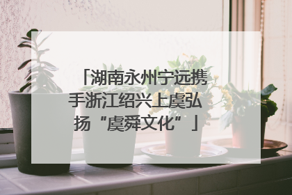 湖南永州宁远携手浙江绍兴上虞弘扬“虞舜文化”
