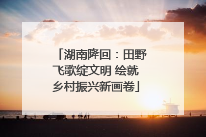 湖南隆回：田野飞歌绽文明 绘就乡村振兴新画卷