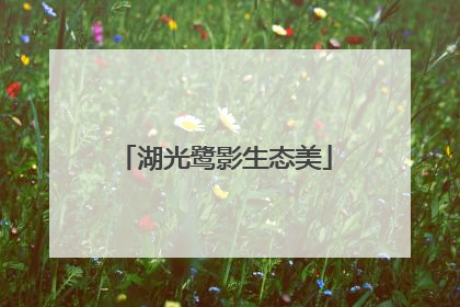 湖光鹭影生态美