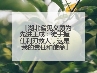 湖北省见义勇为先进王成：徒手握住利刃救人，这是我的责任和使命