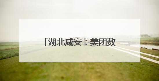 湖北咸安：美团数智化中心仓等4个现代服务业项目签约