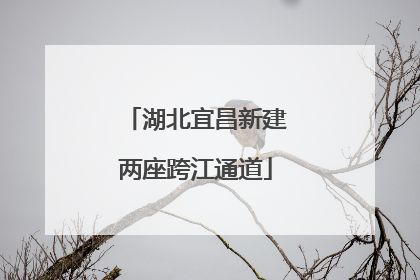 湖北宜昌新建两座跨江通道