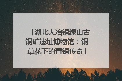 湖北大冶铜绿山古铜矿遗址博物馆：铜草花下的青铜传奇