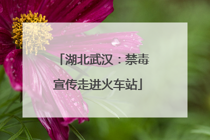 湖北武汉：禁毒宣传走进火车站