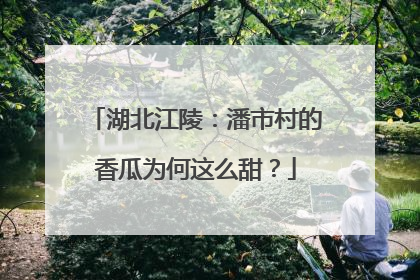 湖北江陵：潘市村的香瓜为何这么甜？