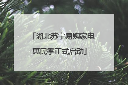 湖北苏宁易购家电惠民季正式启动