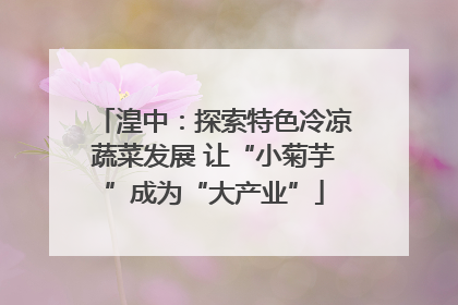 湟中：探索特色冷凉蔬菜发展 让“小菊芋”成为“大产业”
