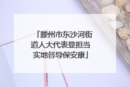 滕州市东沙河街道人大代表显担当实地督导保安康