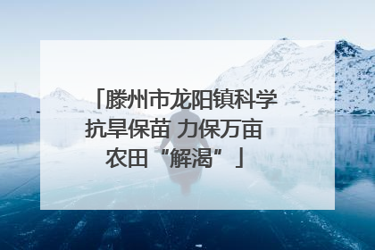 滕州市龙阳镇科学抗旱保苗 力保万亩农田“解渴”