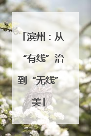滨州：从“有线”治到“无线”美