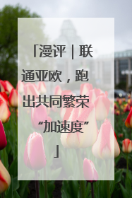 漫评｜联通亚欧，跑出共同繁荣“加速度”