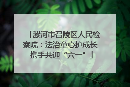 漯河市召陵区人民检察院：法治童心护成长 携手共迎“六一”