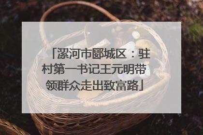 漯河市郾城区：驻村第一书记王元明带领群众走出致富路