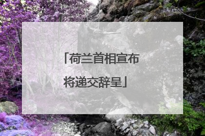 荷兰首相宣布将递交辞呈