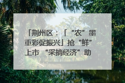 荆州区：「“农”墨重彩促振兴」抢“鲜”上市 “采摘经济”助农“甜蜜增收”