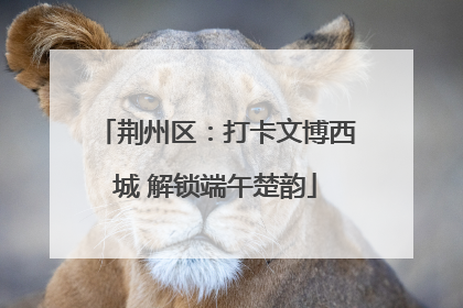 荆州区：打卡文博西城 解锁端午楚韵