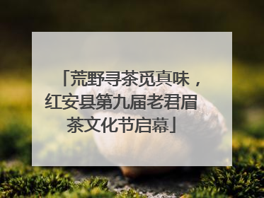荒野寻茶觅真味，红安县第九届老君眉茶文化节启幕
